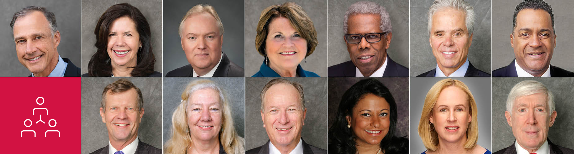 Board of directors diversity